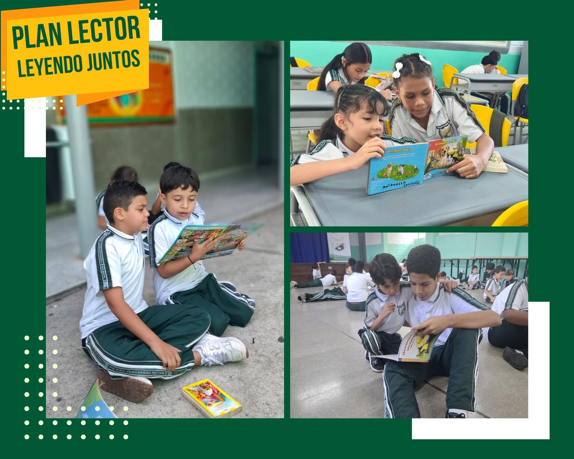 Plan lector